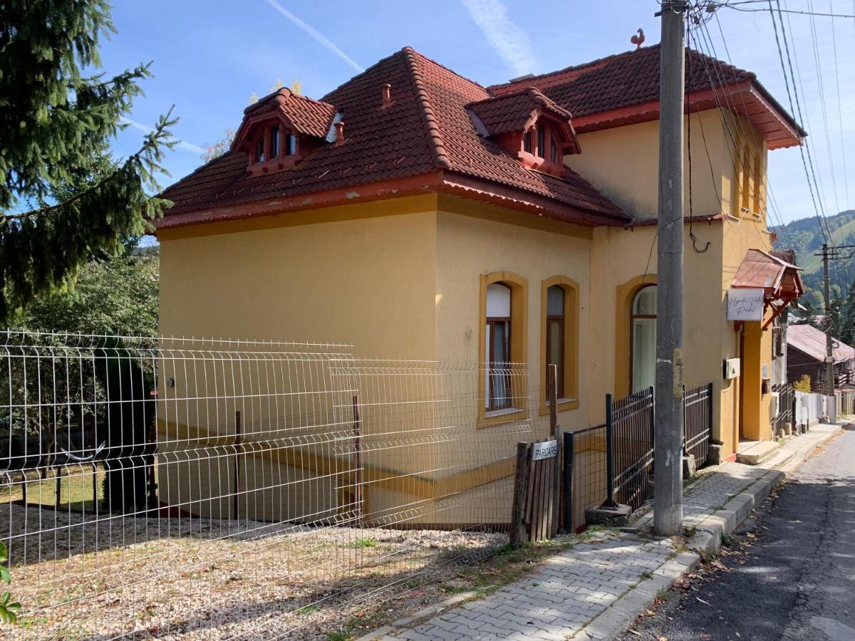 Hypnotic Villa Predeal Extérieur photo